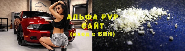 стафф Алексин
