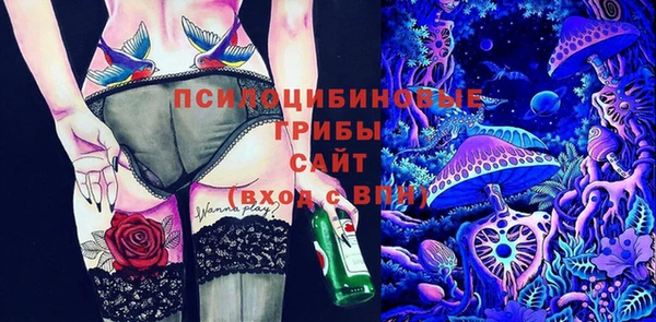 таблы Каменногорск