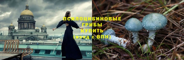 стафф Алексин
